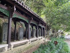 -严子陵钓台(富春江小三峡)