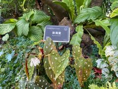 -东莞植物园