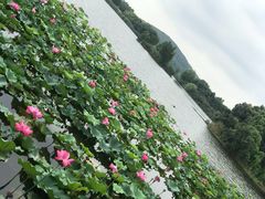 -上海市保健医疗中心