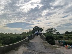 -贡湖湾湿地公园