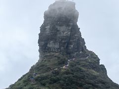 -亮欢寨酸汤鱼(沙冲路店)