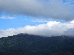 -四明山国家森林公园