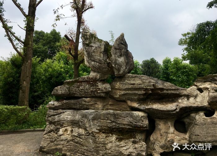 巴国天潭钓鱼中心图片 - 第20张