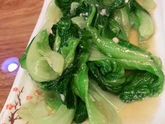 -晋商羊家将(十八中店)
