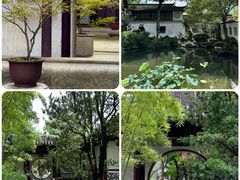 -留园