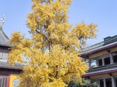 -上海青龙寺