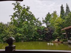 -茅庐·川粤精品私房菜(金沙遗址店)