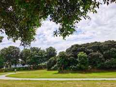 -风云岭森林公园