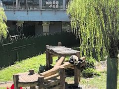 -沈阳森林动物园