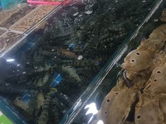 -鸿港海鲜批发市场