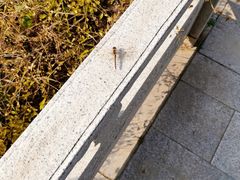 -沈阳辉山风景区