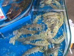 -十四涌水产中心