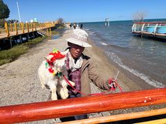 -青海湖国家重点风景名胜区
