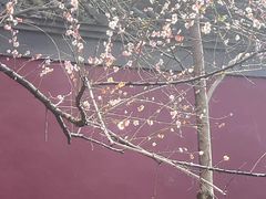 -钱王祠