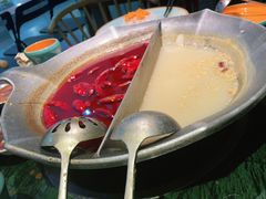 鸳鸯锅-麻田会 ·鲜活现烹·牛蛙火锅(珠江新城维家思广场店)
