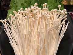 -牛焱·贵州黄牛肉火锅(城西银泰店)