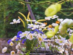 -黄陂区野村谷景区