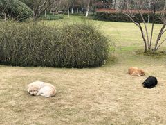 -杭州城北体育公园