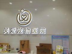-关爱宠物医院·猫科中心·消化科(滨湖万达分院)