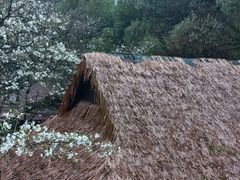 -中国茶叶博物馆(双峰馆区)