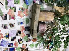 零售区-冷峰马家鸡蛋牛奶醪糟(八朗学五巷店)