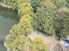 -南湖梦幻岛