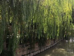 -鸣鹤古镇