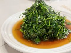-海金滋(陕西南路店)