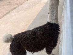 -齐齐哈尔龙沙动植物园