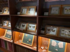 -上海大自然野生昆虫馆