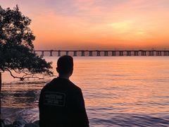 -宝安西湾红树林湿地公园