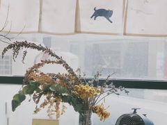 -猫里有甜