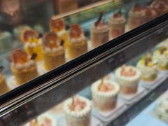 -罗森尼娜(德思勤店)