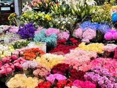 -曲阳花鸟市场(曲阳路店)
