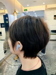 -TSO 慕尚·微潮派