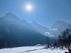 -金鼎雪山牦牛杂火锅(理县总店)