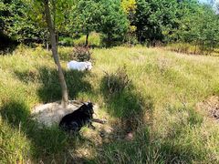 -呼吸森林·生态农庄农家乐私房菜