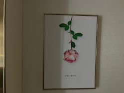 -MIDA蜜哒•科技逆龄美肤连锁