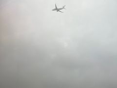 -全日本空输株式会社(上海办事处)