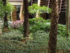 -三亚湾海居铂尔曼度假酒店