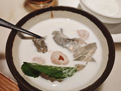 -佬肥猫(国华广场店)