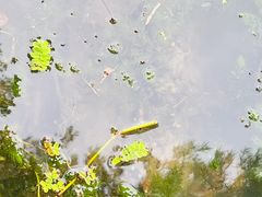 -西太湖揽月湾