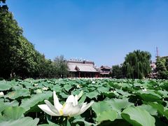 -莲池书院博物馆