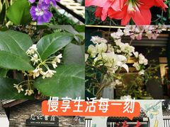 -坂田手造文化街