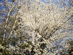 -贵阳市花溪国家城市湿地公园