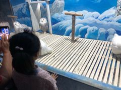 -成都浩海立方海洋公园