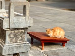 -四门塔风景区