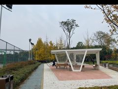 -成都高新创新角度网球俱乐部