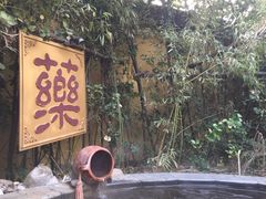 -仁爱团泊湖温泉中心