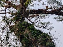 -七仙岭温泉国家森林公园